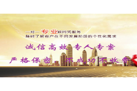 湘潭为什么选择专业追讨公司来处理您的债务纠纷？